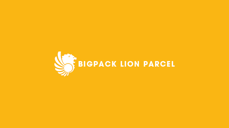 Bigpack Lion Parcel